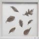Oak leaves - white frame, large Oak leaves - white frame, large